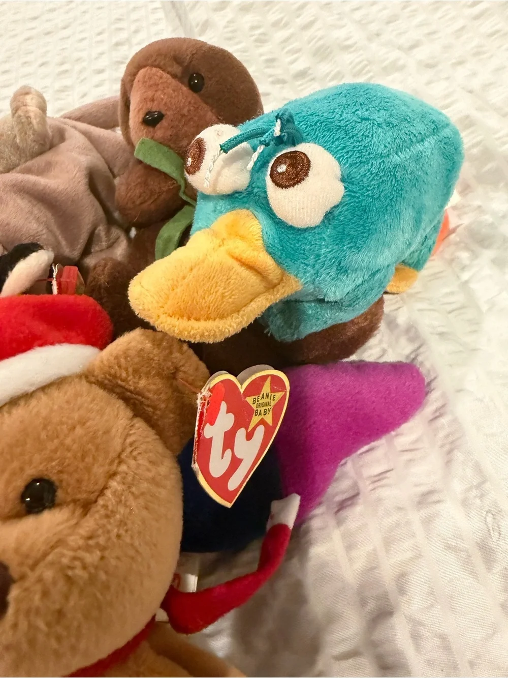 Ty Plush Assorted Friends - Brown, Purple, Teal, Tan